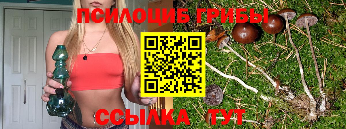 Галлюциногенные грибы MAGIC MUSHROOMS  Вход с VPN  Псилоцибиновые грибы мухоморы  Вязники 